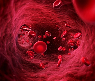 Healthier Blood Flow