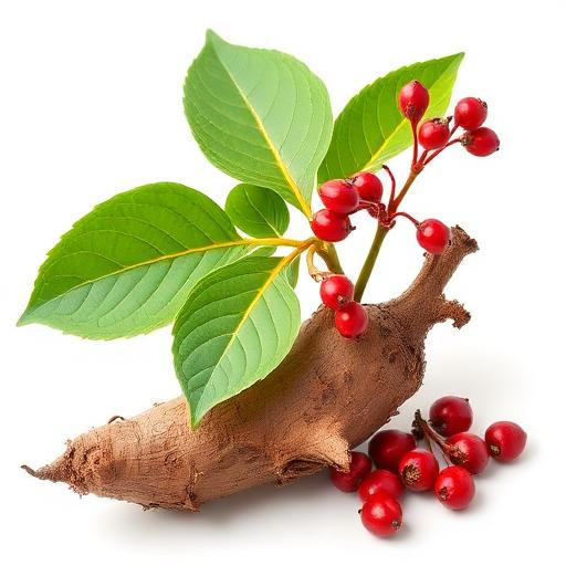 Ashwagandha